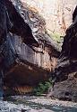 F009  N.P. Zion